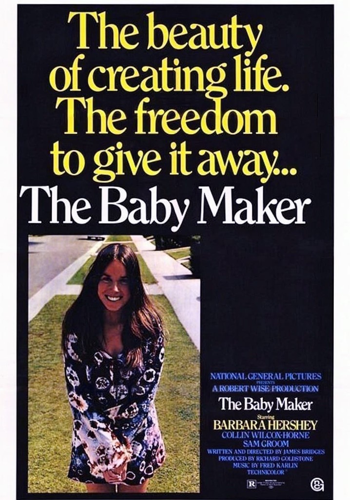 The Baby Maker streaming where to watch online?